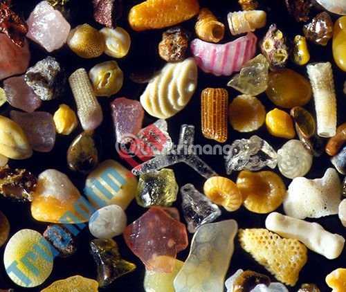 25+&nbsp;kênh&nbsp;YouTube&nbsp;VR&nbsp;tốt&nbsp;nhất&nbsp;bạn&nbsp;không&nbsp;nên&nbsp;bỏ&nbsp;qua