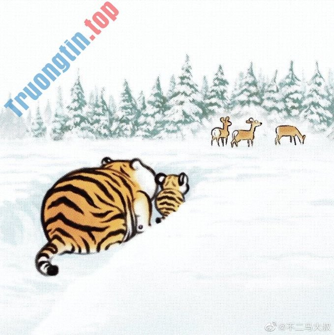 Hình&nbsp;nền&nbsp;hổ&nbsp;béo,&nbsp;ảnh&nbsp;hổ&nbsp;béo&nbsp;dễ&nbsp;thương