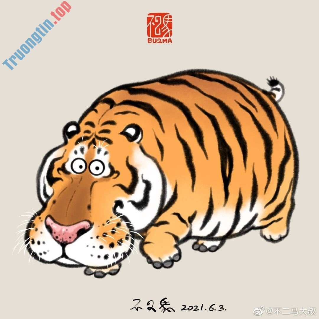 Hình&nbsp;nền&nbsp;hổ&nbsp;béo,&nbsp;ảnh&nbsp;hổ&nbsp;béo&nbsp;dễ&nbsp;thương