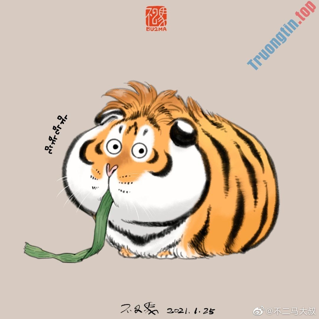 Hình&nbsp;nền&nbsp;hổ&nbsp;béo,&nbsp;ảnh&nbsp;hổ&nbsp;béo&nbsp;dễ&nbsp;thương