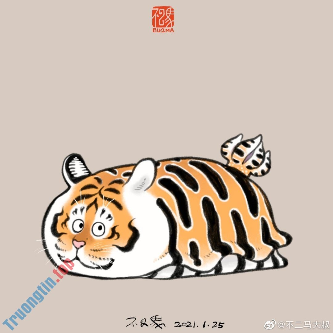 Hình&nbsp;nền&nbsp;hổ&nbsp;béo,&nbsp;ảnh&nbsp;hổ&nbsp;béo&nbsp;dễ&nbsp;thương