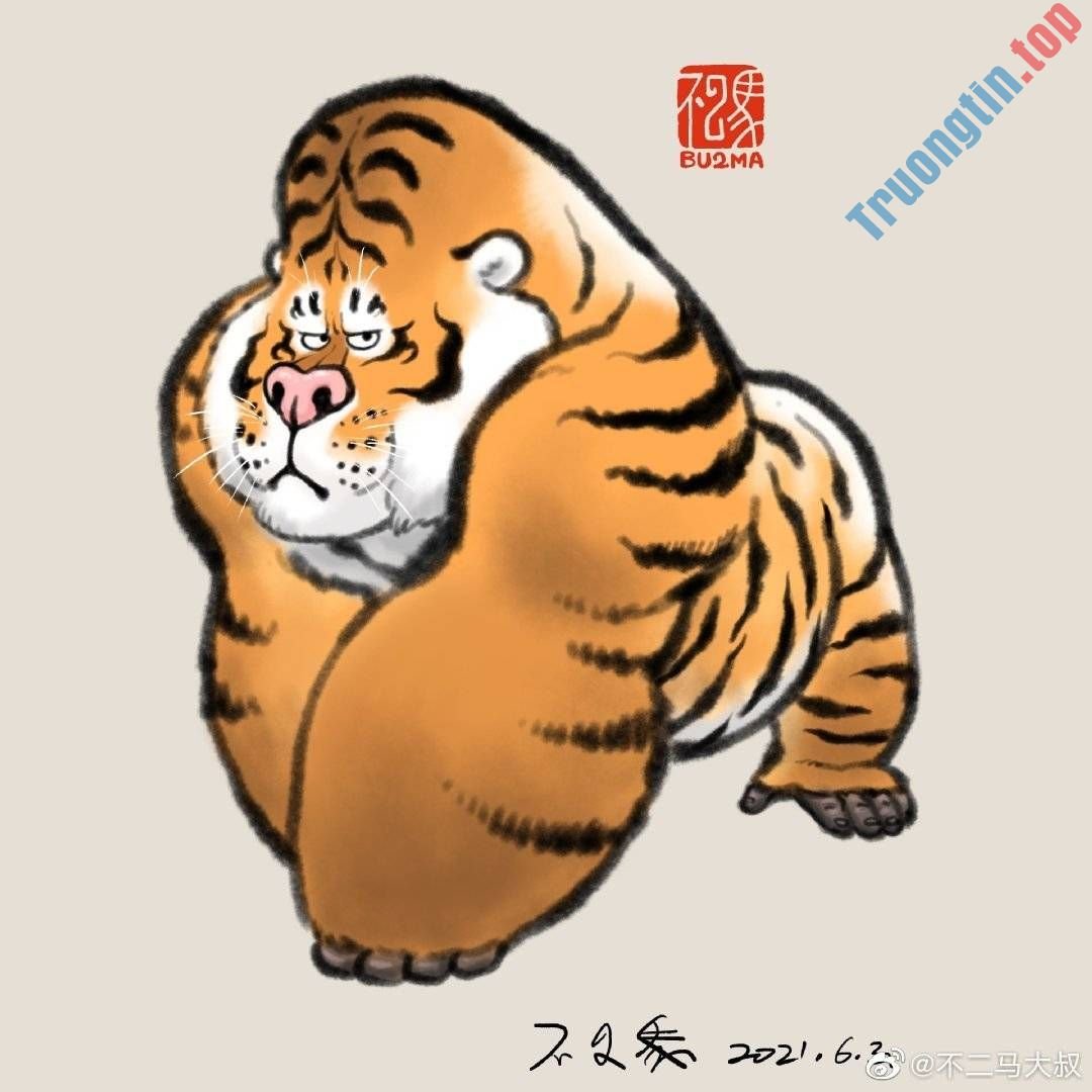 Hình&nbsp;nền&nbsp;hổ&nbsp;béo,&nbsp;ảnh&nbsp;hổ&nbsp;béo&nbsp;dễ&nbsp;thương