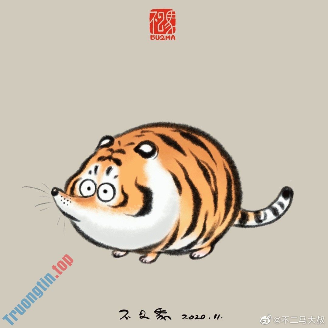 Hình&nbsp;nền&nbsp;hổ&nbsp;béo,&nbsp;ảnh&nbsp;hổ&nbsp;béo&nbsp;dễ&nbsp;thương