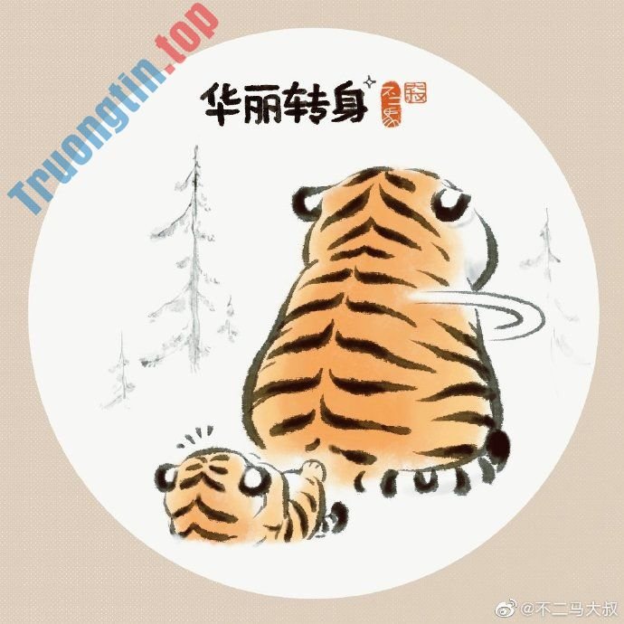 Hình&nbsp;nền&nbsp;hổ&nbsp;béo,&nbsp;ảnh&nbsp;hổ&nbsp;béo&nbsp;dễ&nbsp;thương