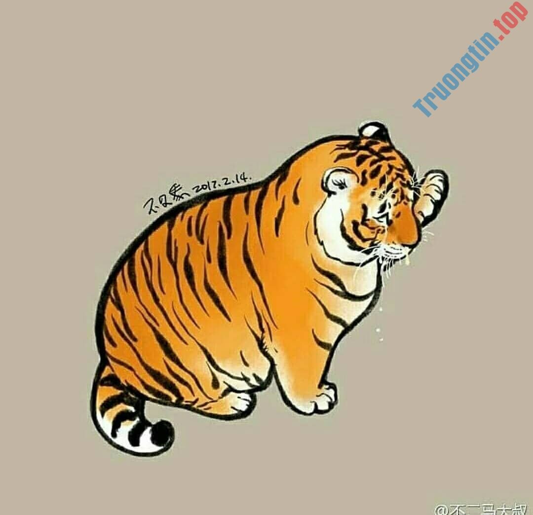 Hình&nbsp;nền&nbsp;hổ&nbsp;béo,&nbsp;ảnh&nbsp;hổ&nbsp;béo&nbsp;dễ&nbsp;thương