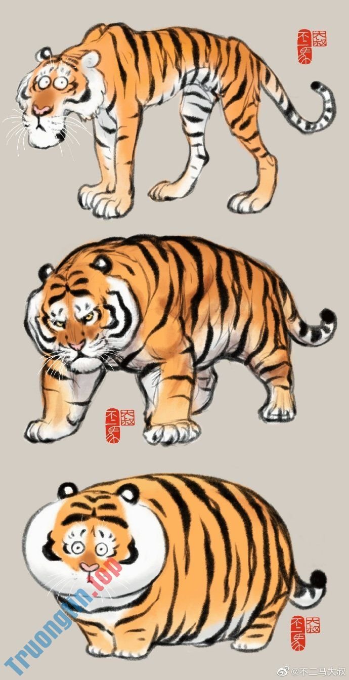 Hình&nbsp;nền&nbsp;hổ&nbsp;béo,&nbsp;ảnh&nbsp;hổ&nbsp;béo&nbsp;dễ&nbsp;thương