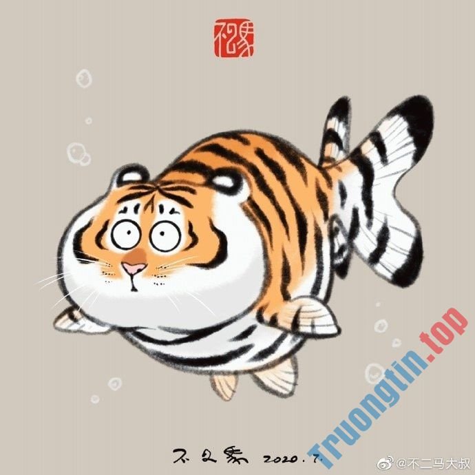 Hình&nbsp;nền&nbsp;hổ&nbsp;béo,&nbsp;ảnh&nbsp;hổ&nbsp;béo&nbsp;dễ&nbsp;thương