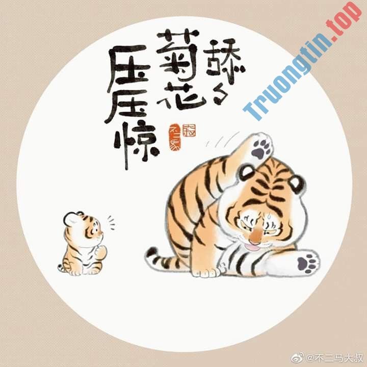 Hình&nbsp;nền&nbsp;hổ&nbsp;béo,&nbsp;ảnh&nbsp;hổ&nbsp;béo&nbsp;dễ&nbsp;thương