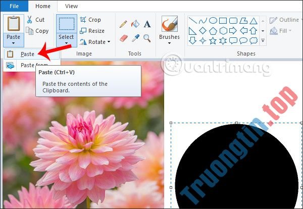 Cách&nbsp;cắt&nbsp;ảnh&nbsp;hình&nbsp;tròn&nbsp;trên&nbsp;Paint