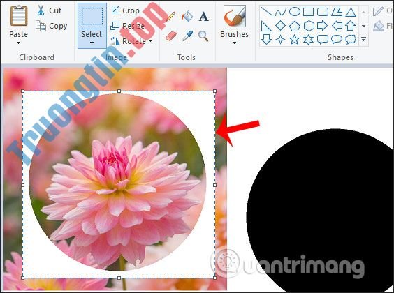 Cách&nbsp;cắt&nbsp;ảnh&nbsp;hình&nbsp;tròn&nbsp;trên&nbsp;Paint