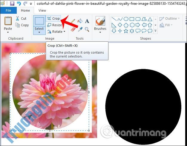 Cách&nbsp;cắt&nbsp;ảnh&nbsp;hình&nbsp;tròn&nbsp;trên&nbsp;Paint