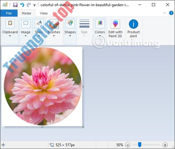 Cách&nbsp;cắt&nbsp;ảnh&nbsp;hình&nbsp;tròn&nbsp;trên&nbsp;Paint