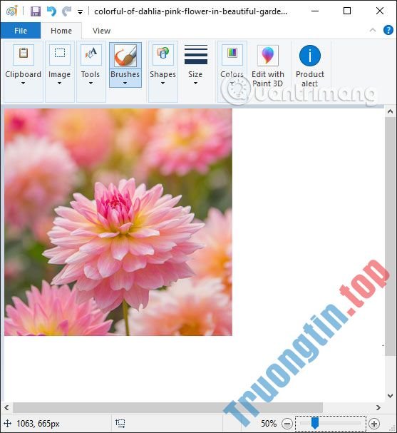 Cách&nbsp;cắt&nbsp;ảnh&nbsp;hình&nbsp;tròn&nbsp;trên&nbsp;Paint