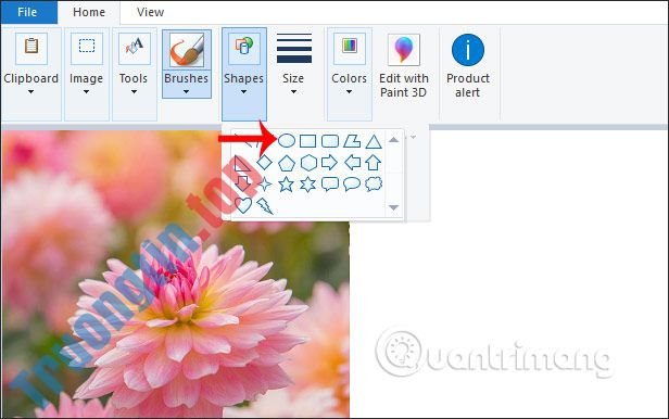 Cách&nbsp;cắt&nbsp;ảnh&nbsp;hình&nbsp;tròn&nbsp;trên&nbsp;Paint