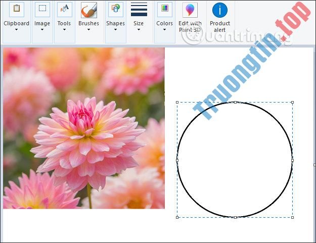 Cách&nbsp;cắt&nbsp;ảnh&nbsp;hình&nbsp;tròn&nbsp;trên&nbsp;Paint