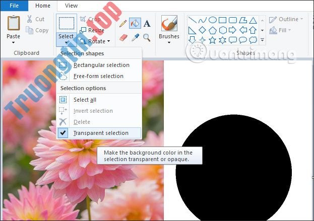 Cách&nbsp;cắt&nbsp;ảnh&nbsp;hình&nbsp;tròn&nbsp;trên&nbsp;Paint