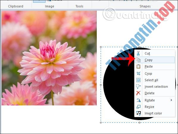 Cách&nbsp;cắt&nbsp;ảnh&nbsp;hình&nbsp;tròn&nbsp;trên&nbsp;Paint