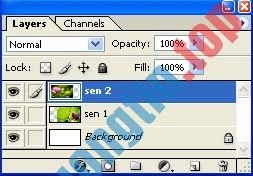 Cách&nbsp;ghép&nbsp;ảnh&nbsp;trong&nbsp;Photoshop&nbsp;từ&nbsp;2&nbsp;hình&nbsp;khác&nbsp;nhau
