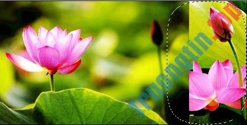 Cách&nbsp;ghép&nbsp;ảnh&nbsp;trong&nbsp;Photoshop&nbsp;từ&nbsp;2&nbsp;hình&nbsp;khác&nbsp;nhau