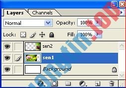 Cách&nbsp;ghép&nbsp;ảnh&nbsp;trong&nbsp;Photoshop&nbsp;từ&nbsp;2&nbsp;hình&nbsp;khác&nbsp;nhau