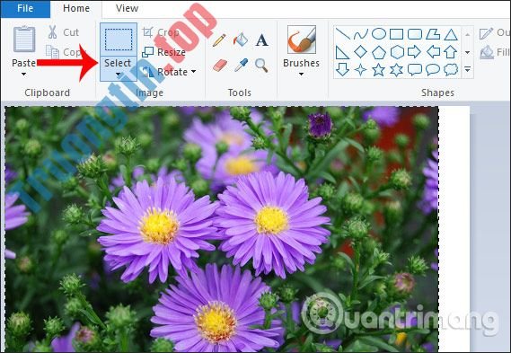 Cách&nbsp;tạo&nbsp;khung&nbsp;ảnh&nbsp;trên&nbsp;Paint