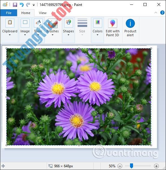 Cách&nbsp;tạo&nbsp;khung&nbsp;ảnh&nbsp;trên&nbsp;Paint