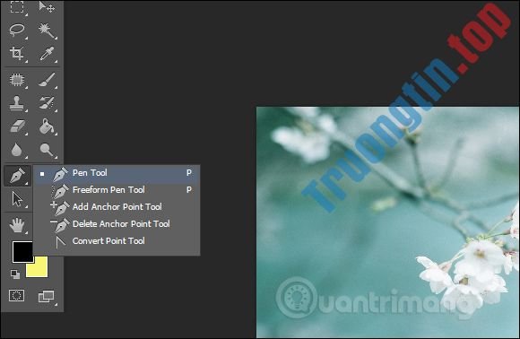 Cách&nbsp;viết&nbsp;chữ&nbsp;uốn&nbsp;lượn&nbsp;trên&nbsp;Photoshop