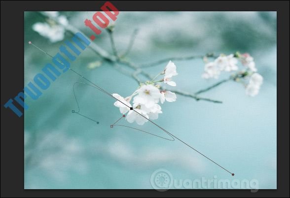 Cách&nbsp;viết&nbsp;chữ&nbsp;uốn&nbsp;lượn&nbsp;trên&nbsp;Photoshop