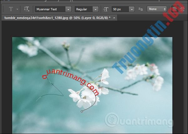 Cách&nbsp;viết&nbsp;chữ&nbsp;uốn&nbsp;lượn&nbsp;trên&nbsp;Photoshop