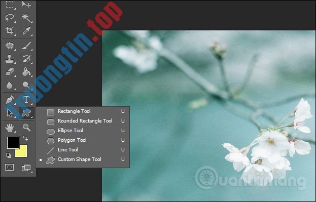 Cách&nbsp;viết&nbsp;chữ&nbsp;uốn&nbsp;lượn&nbsp;trên&nbsp;Photoshop