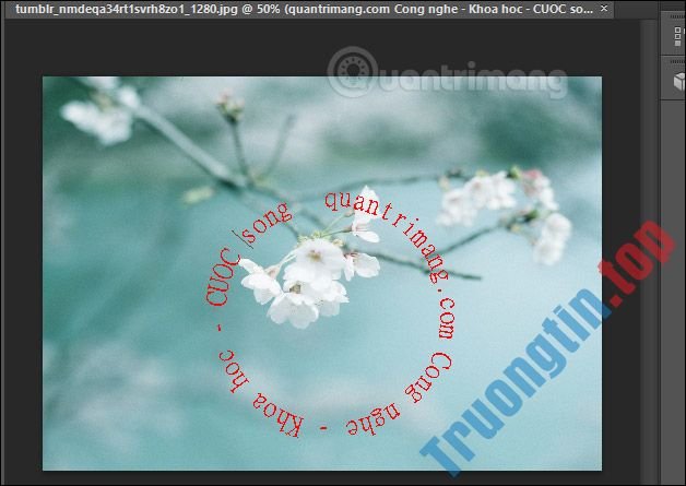 Cách&nbsp;viết&nbsp;chữ&nbsp;uốn&nbsp;lượn&nbsp;trên&nbsp;Photoshop