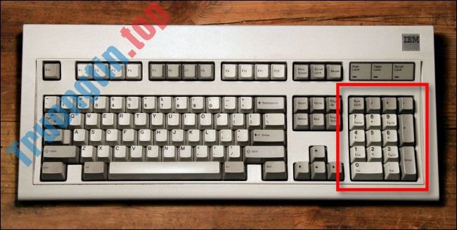 Cách sửa lỗi bàn phím nhập số thay vì chữ cái 1 Cách sửa lỗi bàn phím nhập số thay vì chữ cái