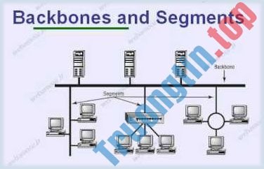 Sự&nbsp;khác&nbsp;biệt&nbsp;giữa&nbsp;Segment&nbsp;và&nbsp;Backbone&nbsp;trong&nbsp;mạng