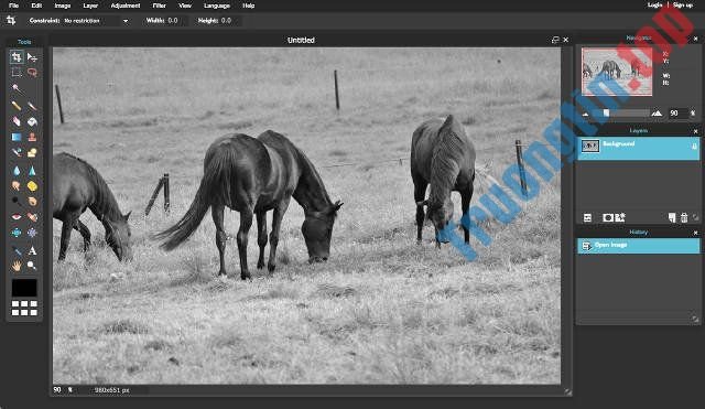 Những&nbsp;phần&nbsp;mềm&nbsp;thay&nbsp;thế&nbsp;Photoshop&nbsp;xuất&nbsp;sắc&nbsp;nhất