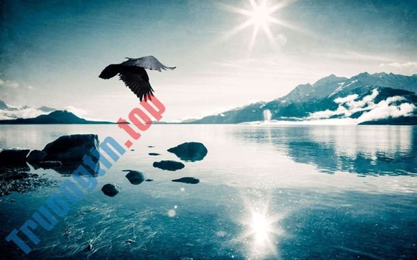 Mời&nbsp;tải&nbsp;4&nbsp;bộ&nbsp;ảnh&nbsp;nền&nbsp;mới&nbsp;tuyệt&nbsp;đẹp&nbsp;từ&nbsp;chính&nbsp;chủ&nbsp;Microsoft,&nbsp;hoàn&nbsp;toàn&nbsp;miễn&nbsp;phí