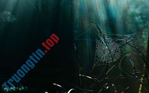 Mời&nbsp;tải&nbsp;4&nbsp;bộ&nbsp;ảnh&nbsp;nền&nbsp;mới&nbsp;tuyệt&nbsp;đẹp&nbsp;từ&nbsp;chính&nbsp;chủ&nbsp;Microsoft,&nbsp;hoàn&nbsp;toàn&nbsp;miễn&nbsp;phí