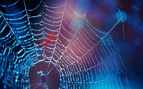 Mời&nbsp;tải&nbsp;4&nbsp;bộ&nbsp;ảnh&nbsp;nền&nbsp;mới&nbsp;tuyệt&nbsp;đẹp&nbsp;từ&nbsp;chính&nbsp;chủ&nbsp;Microsoft,&nbsp;hoàn&nbsp;toàn&nbsp;miễn&nbsp;phí