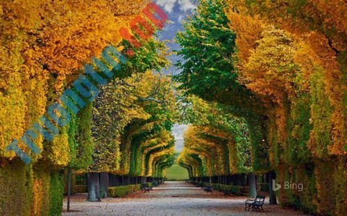 Mời&nbsp;tải&nbsp;4&nbsp;bộ&nbsp;ảnh&nbsp;nền&nbsp;mới&nbsp;tuyệt&nbsp;đẹp&nbsp;từ&nbsp;chính&nbsp;chủ&nbsp;Microsoft,&nbsp;hoàn&nbsp;toàn&nbsp;miễn&nbsp;phí