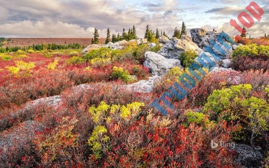 Mời&nbsp;tải&nbsp;4&nbsp;bộ&nbsp;ảnh&nbsp;nền&nbsp;mới&nbsp;tuyệt&nbsp;đẹp&nbsp;từ&nbsp;chính&nbsp;chủ&nbsp;Microsoft,&nbsp;hoàn&nbsp;toàn&nbsp;miễn&nbsp;phí