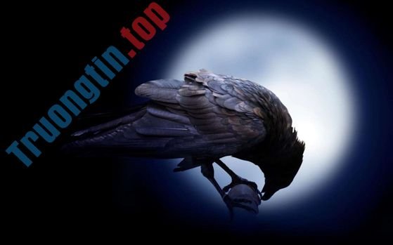 Mời&nbsp;tải&nbsp;4&nbsp;bộ&nbsp;ảnh&nbsp;nền&nbsp;mới&nbsp;tuyệt&nbsp;đẹp&nbsp;từ&nbsp;chính&nbsp;chủ&nbsp;Microsoft,&nbsp;hoàn&nbsp;toàn&nbsp;miễn&nbsp;phí