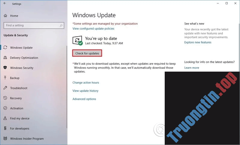 3 cách update Windows 10 lên bản cập nhật mới nhất 2022