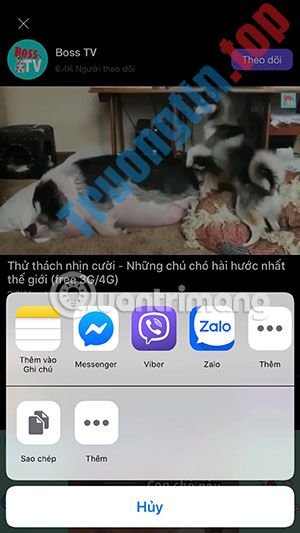 Cách&nbsp;chia&nbsp;sẻ&nbsp;video,&nbsp;phim&nbsp;trên&nbsp;Mocha&nbsp;với&nbsp;Facebook,&nbsp;Messenger,&nbsp;Gmail...
