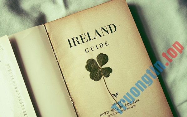 Bộ&nbsp;hình&nbsp;nền&nbsp;cỏ&nbsp;ba&nbsp;lá&nbsp;đẹp&nbsp;nhất&nbsp;cho&nbsp;laptop