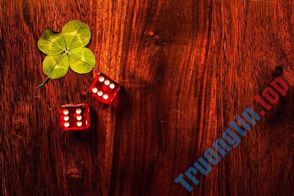 Bộ&nbsp;hình&nbsp;nền&nbsp;cỏ&nbsp;ba&nbsp;lá&nbsp;đẹp&nbsp;nhất&nbsp;cho&nbsp;laptop