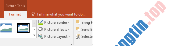 PowerPoint&nbsp;2019&nbsp;(Phần&nbsp;14):&nbsp;Chèn&nbsp;ảnh