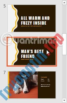 Quản&nbsp;lý&nbsp;các&nbsp;slide&nbsp;trong&nbsp;PowerPoint&nbsp;2016