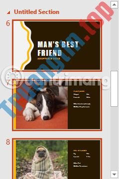 Quản&nbsp;lý&nbsp;các&nbsp;slide&nbsp;trong&nbsp;PowerPoint&nbsp;2016