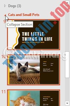 Quản&nbsp;lý&nbsp;các&nbsp;slide&nbsp;trong&nbsp;PowerPoint&nbsp;2016