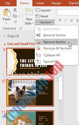 Quản&nbsp;lý&nbsp;các&nbsp;slide&nbsp;trong&nbsp;PowerPoint&nbsp;2016