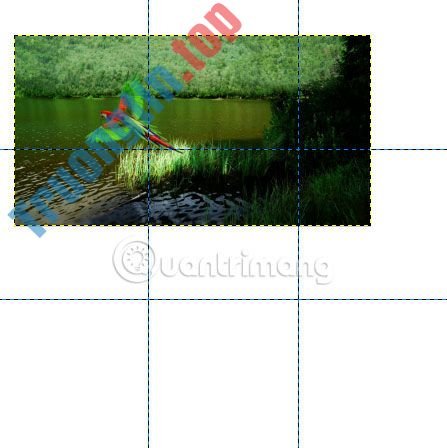 Ghép&nbsp;nhiều&nbsp;ảnh&nbsp;vào&nbsp;chung&nbsp;1&nbsp;khung&nbsp;bằng&nbsp;GIMP